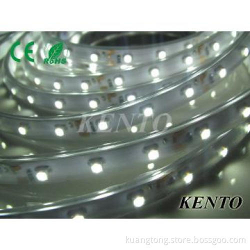 12volt SMD5050 Flexible White Led Strip Lights,60pcs/meter
